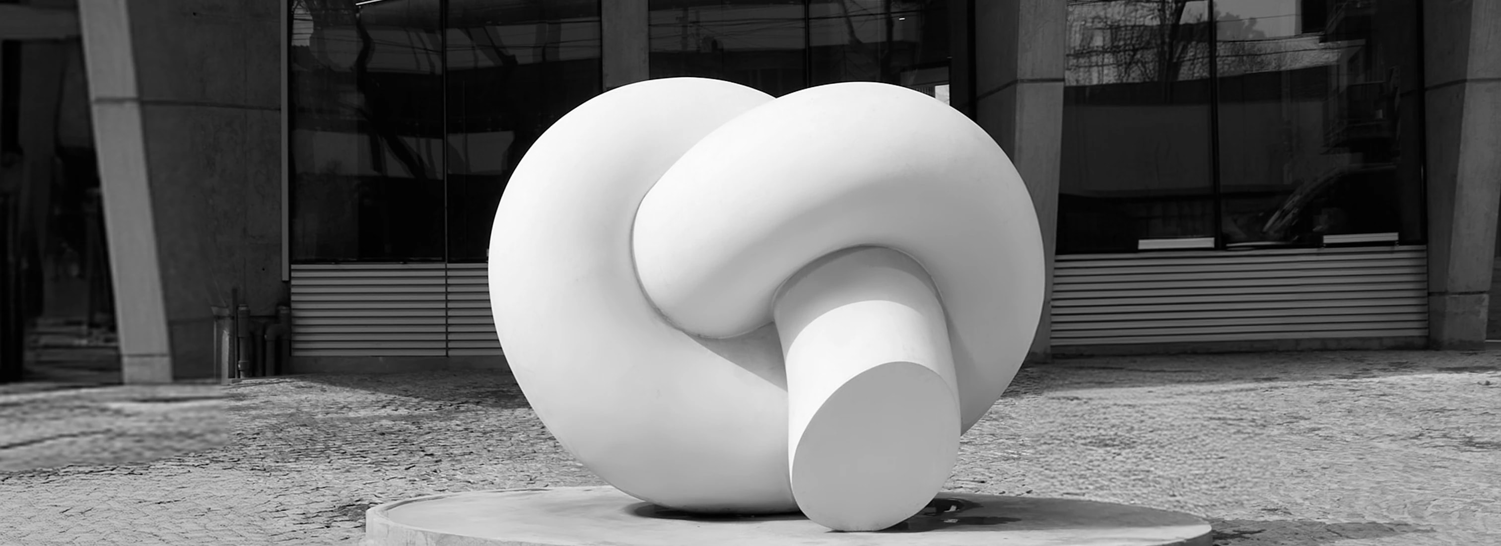 Obra ganadora Geometría afectiva.